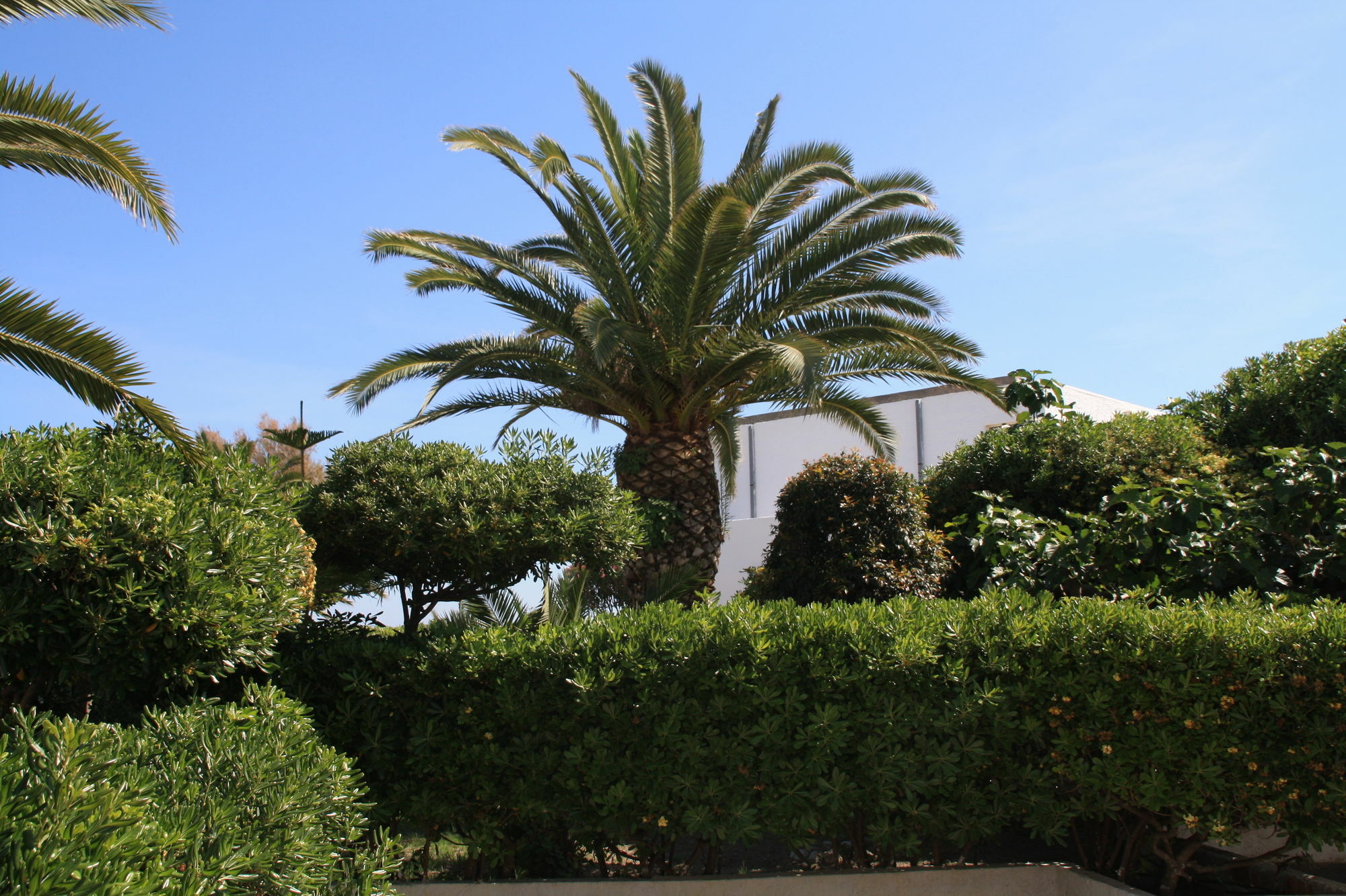 Hotel Villaggio Club Altalia Residence Brancaleone Exterior photo